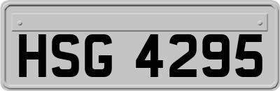 HSG4295