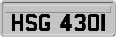 HSG4301