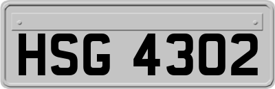 HSG4302