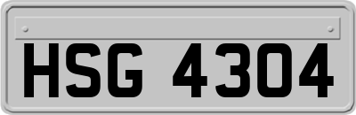 HSG4304