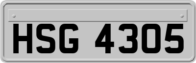 HSG4305