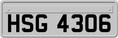 HSG4306