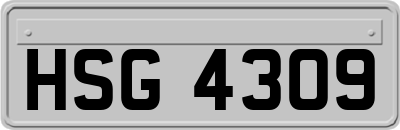 HSG4309