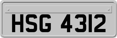 HSG4312