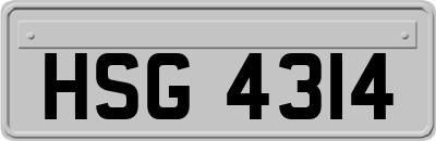 HSG4314