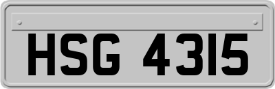 HSG4315