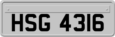 HSG4316