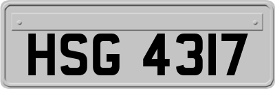 HSG4317