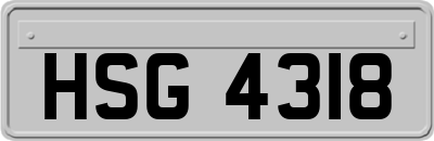 HSG4318