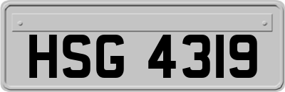 HSG4319
