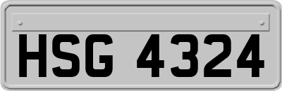 HSG4324