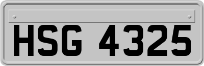 HSG4325