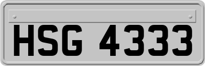 HSG4333