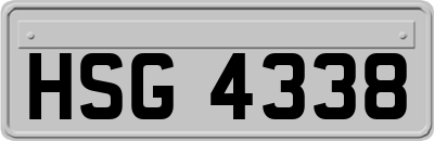 HSG4338