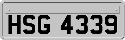 HSG4339