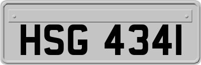 HSG4341