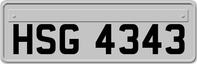 HSG4343