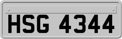 HSG4344