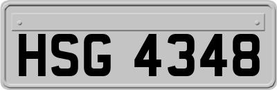 HSG4348
