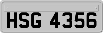 HSG4356
