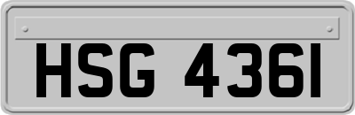 HSG4361