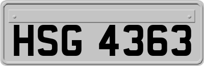 HSG4363