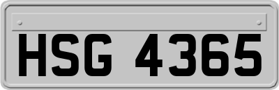 HSG4365