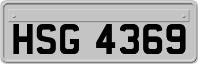 HSG4369