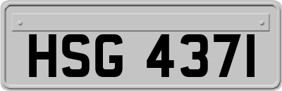 HSG4371