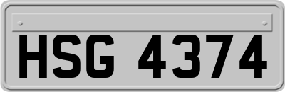 HSG4374