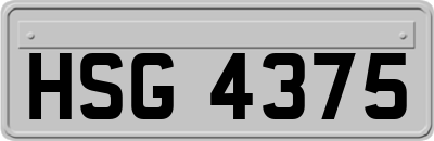 HSG4375