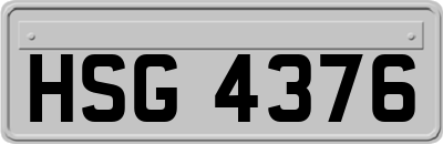 HSG4376