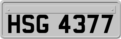 HSG4377