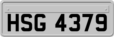 HSG4379