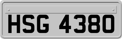 HSG4380