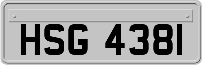 HSG4381