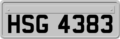 HSG4383