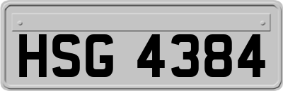 HSG4384