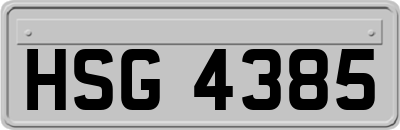 HSG4385