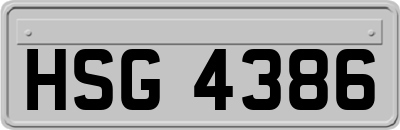 HSG4386