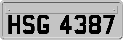 HSG4387
