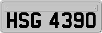 HSG4390