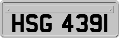 HSG4391