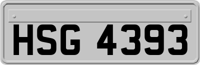 HSG4393