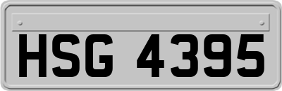 HSG4395