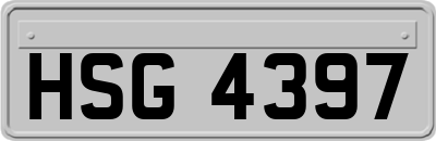HSG4397