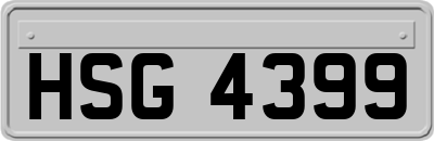 HSG4399