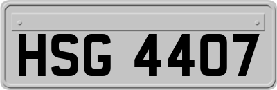 HSG4407