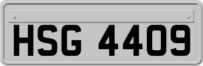 HSG4409