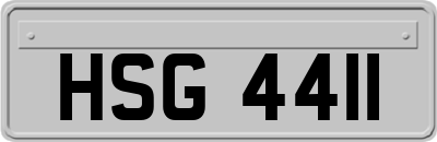 HSG4411